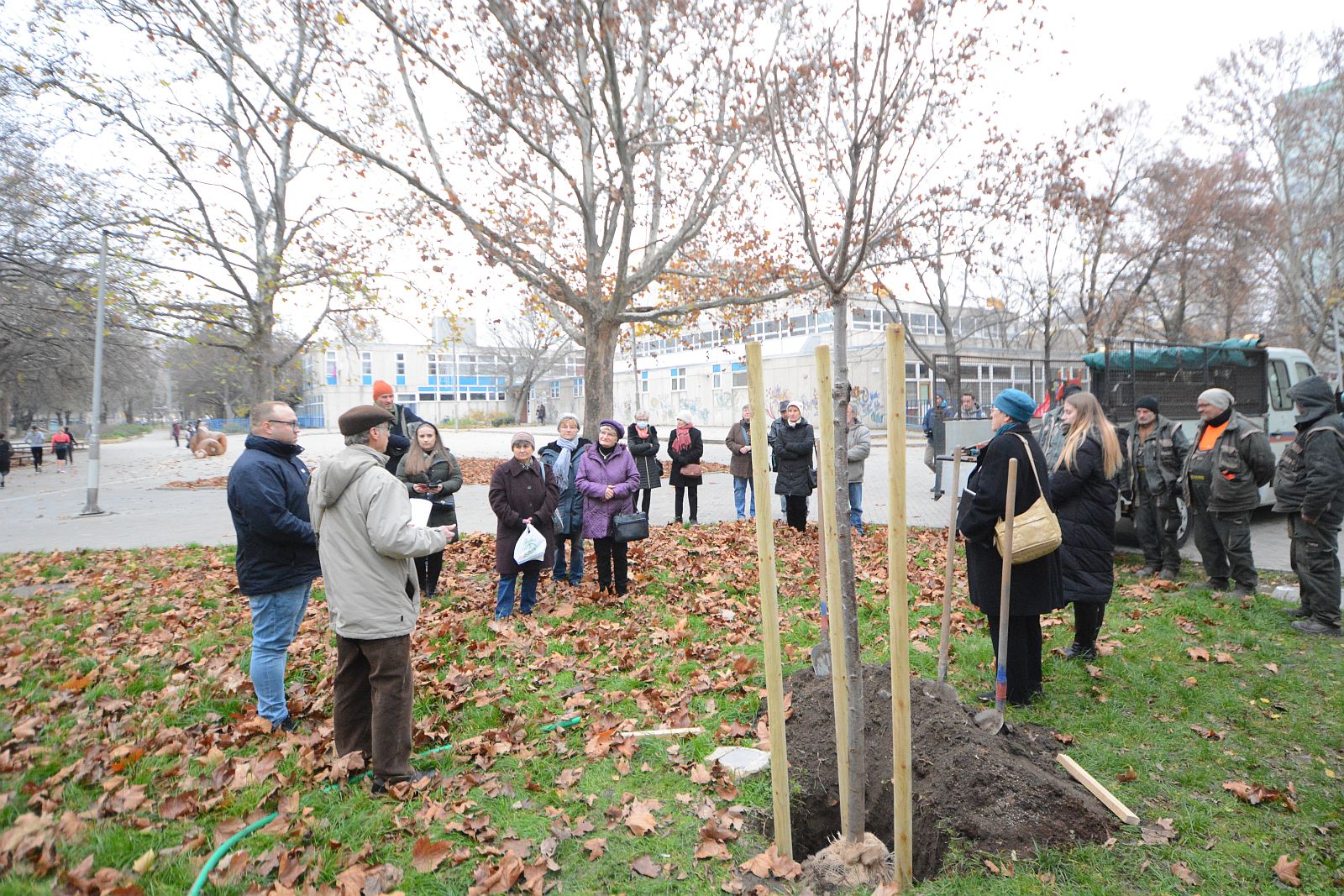 Az emlékezet fája – díszcseresznyét ültetett a Tarsoly Egyesület a Salétrom utcában